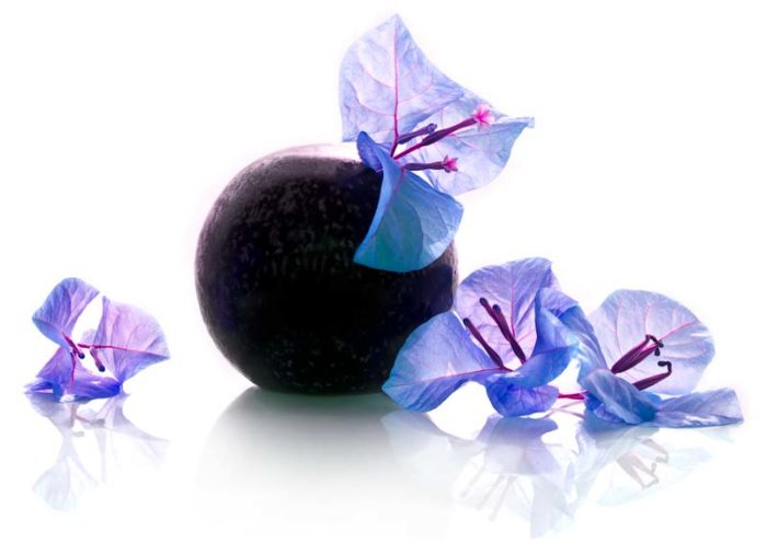 soins-butterfly soins-butterfly